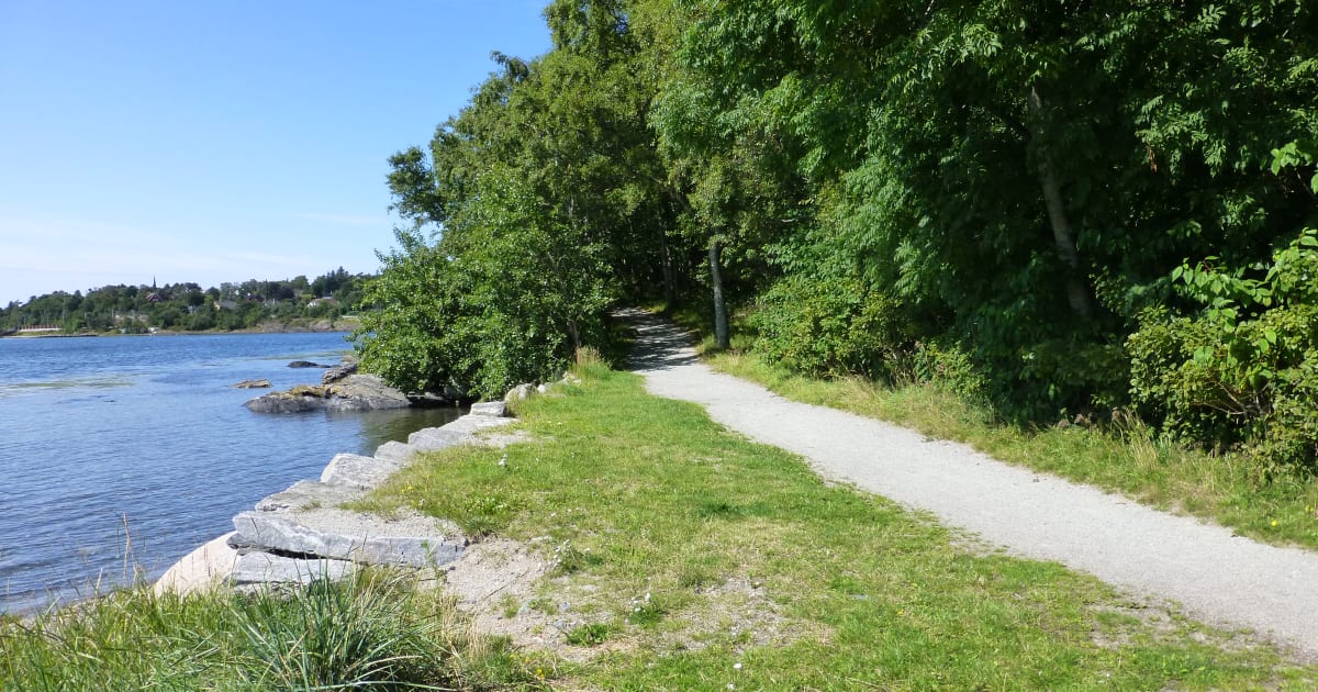 Vaulen