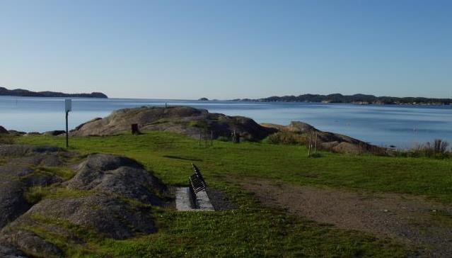 Asnes