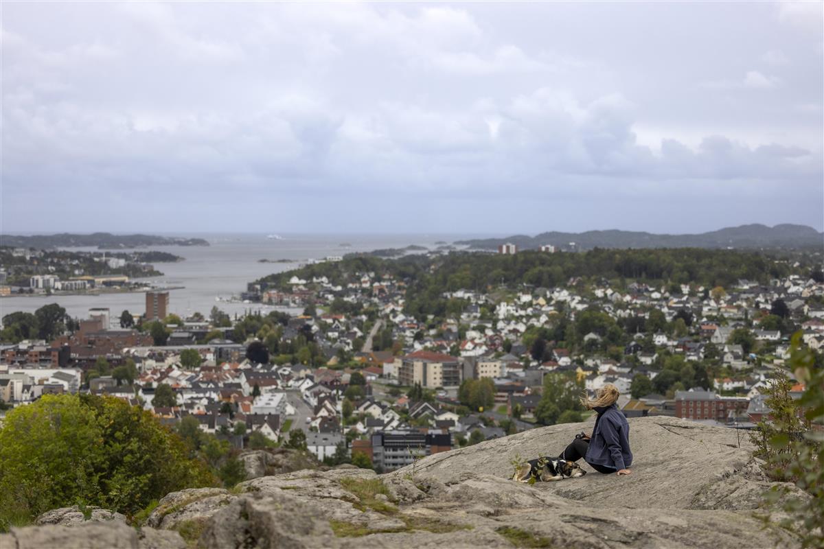 Mokollen