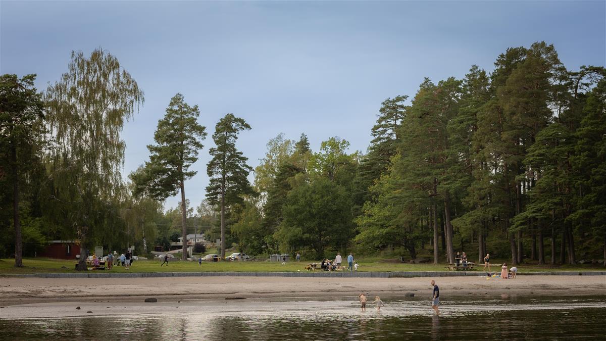 Skjellvika