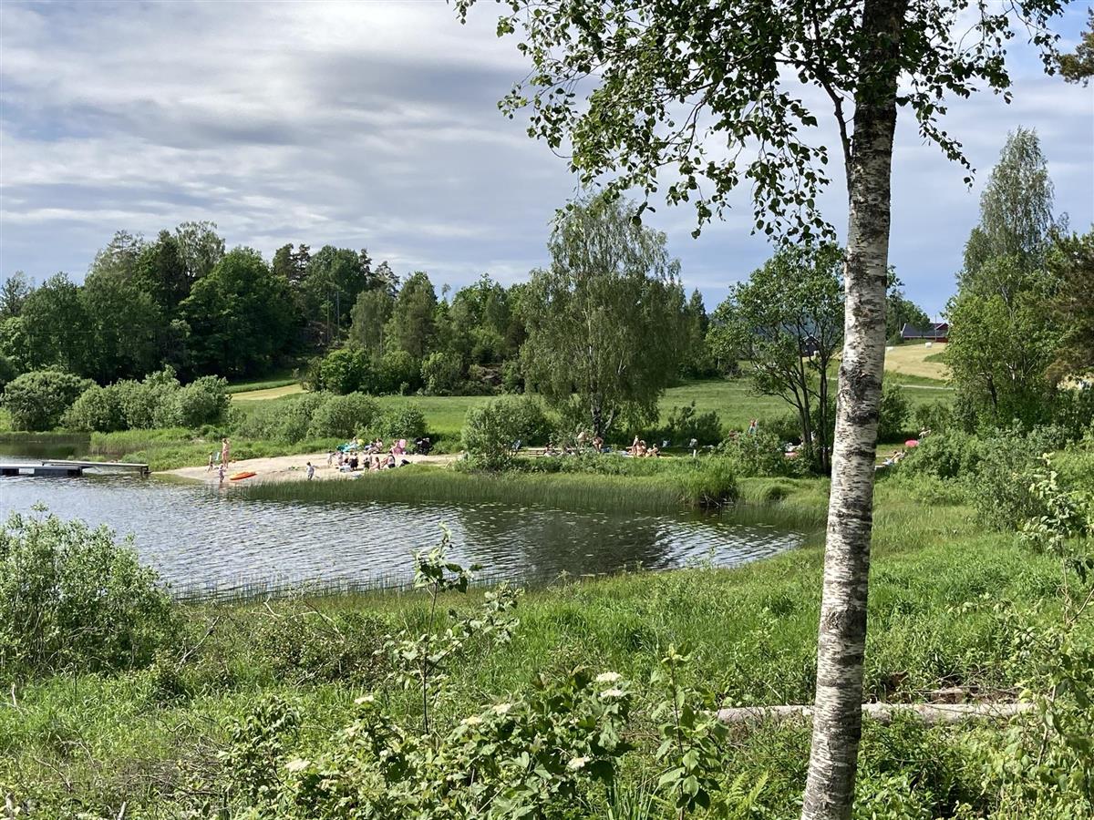 Stålerødvannet