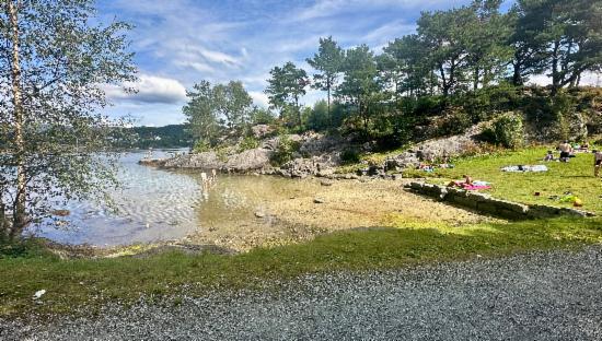 Tømmervågen